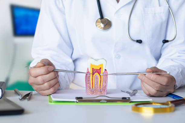 Best Emergency TMJ Treatment in Stony Prairie, OH